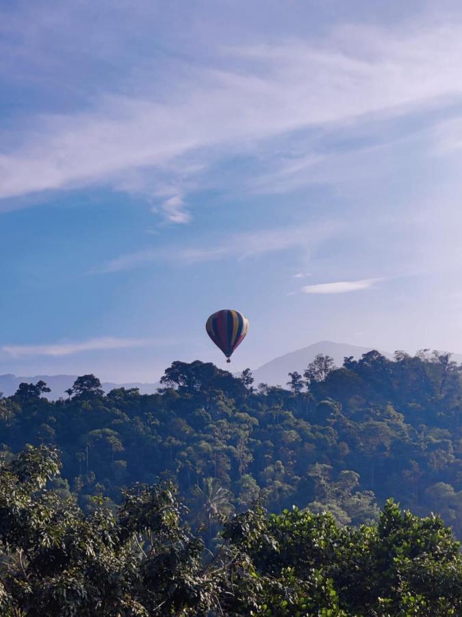 Munnar Bnb Bed & Breakfast Luaran gambar
